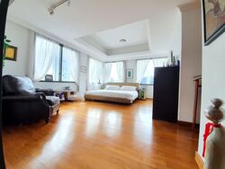 Four Seasons Park (D10), Condominium #532466281